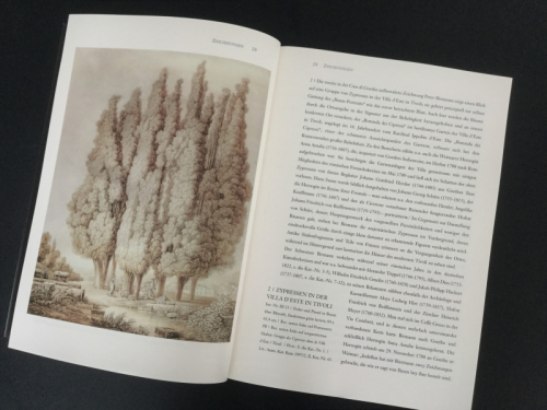 Italienische Landschaften der Goethezeit