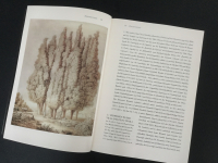 Italienische Landschaften der Goethezeit