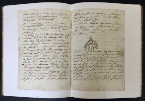 Johann Wolfgang von Goethe. Reise-Tagebuch 1786 / Tagebuch der Italienischen Reise fr Frau von Stein